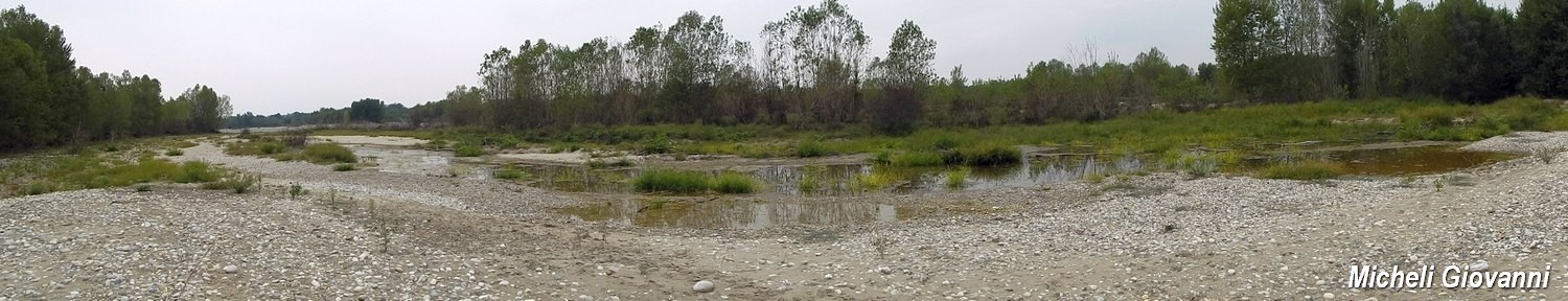 Parco del Ticino : incontri del 12/9/15